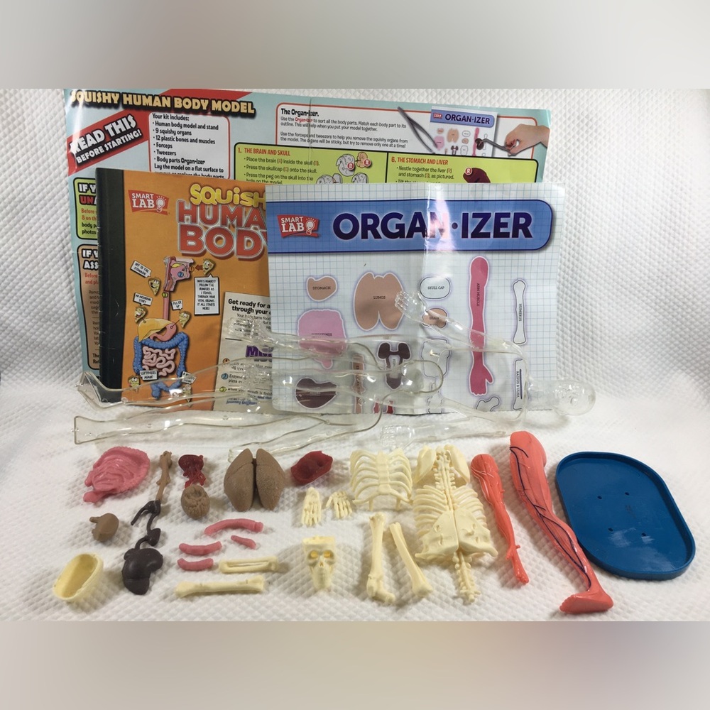 SmartLab Squishy Human Body Organizer Toy - Educational Kids Kit (Multicolor)